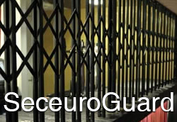 SeceuroGuard Security Grilles