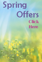 Spring Offers