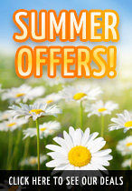 Summer Offers