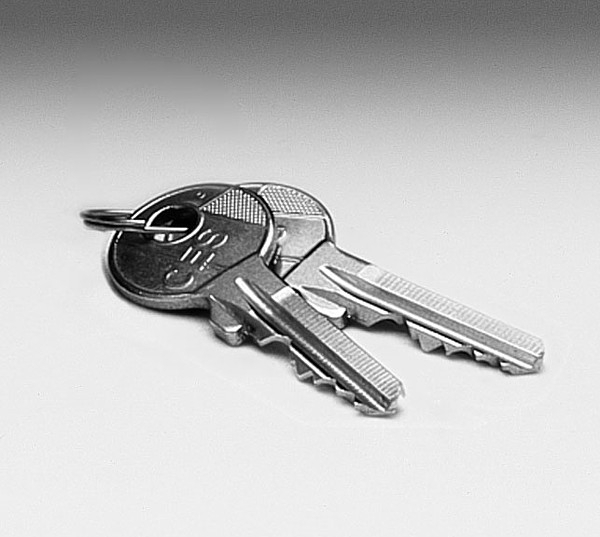 CES Blank Keys (1019002) Garador Spare Parts at Garage Doors Online