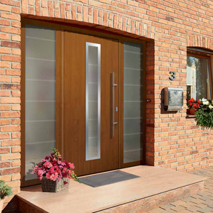 Hormann Thermo Pro Entrance Door