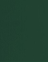 RAL 6009 Fir green single skin non insulated sectional garage door